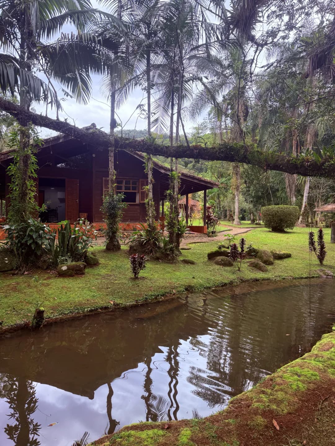 Casa Graciosa — foto 42