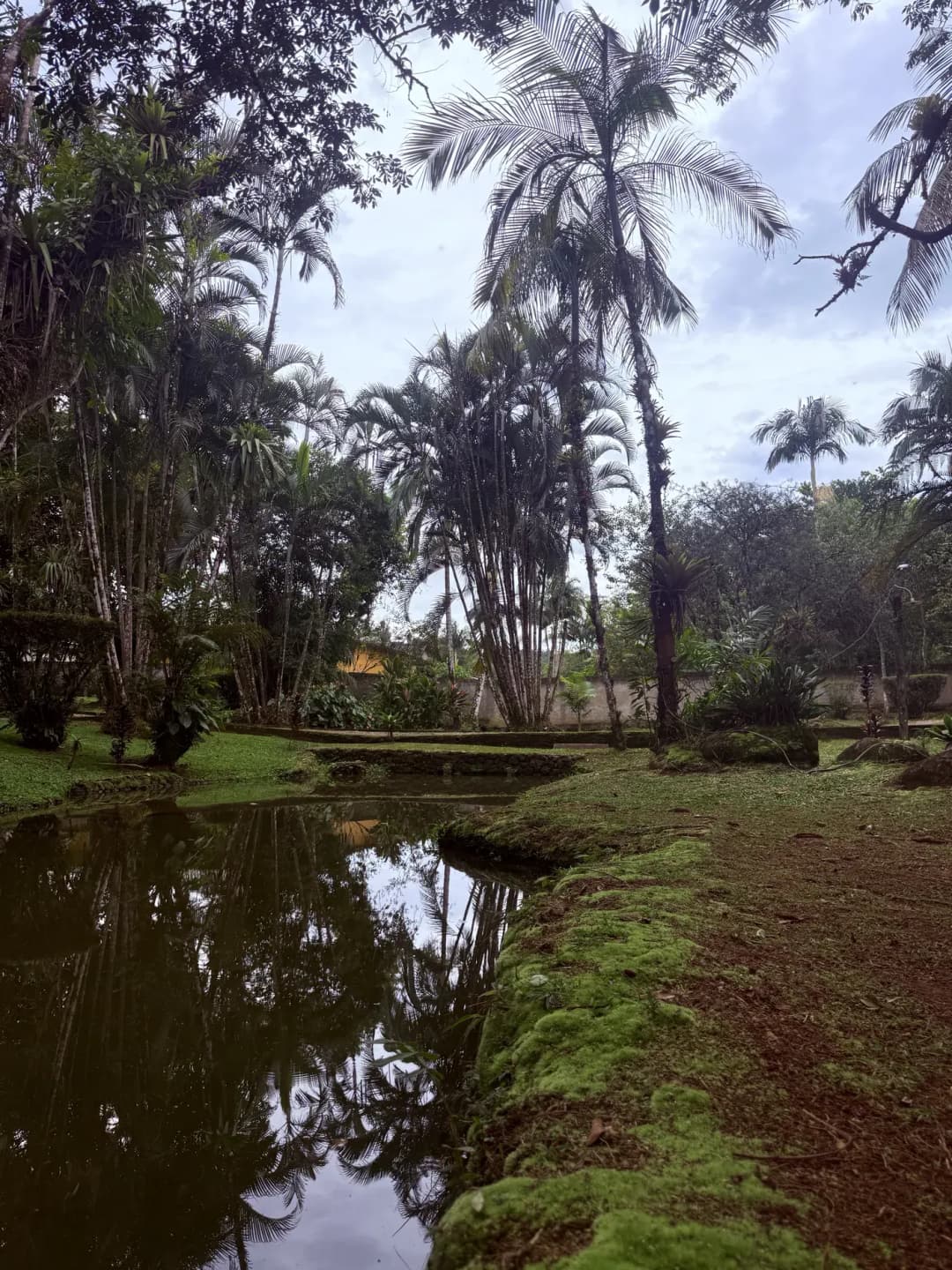 Casa Graciosa — foto 51