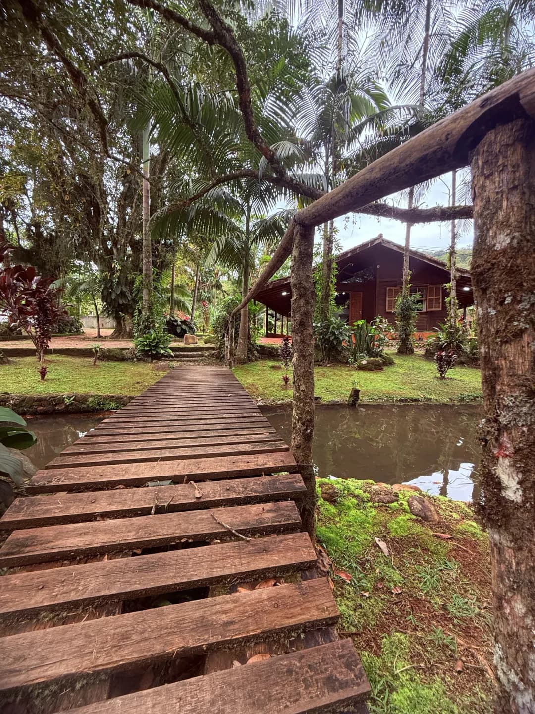 Casa Graciosa — foto 52