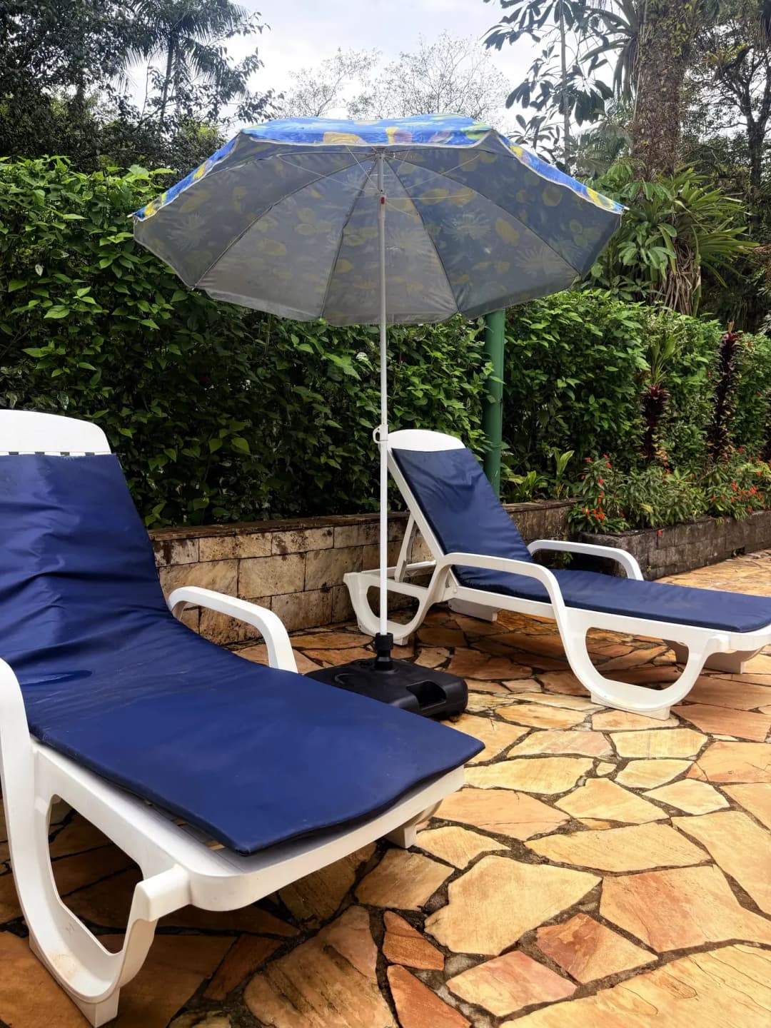 Casa Graciosa — foto 54