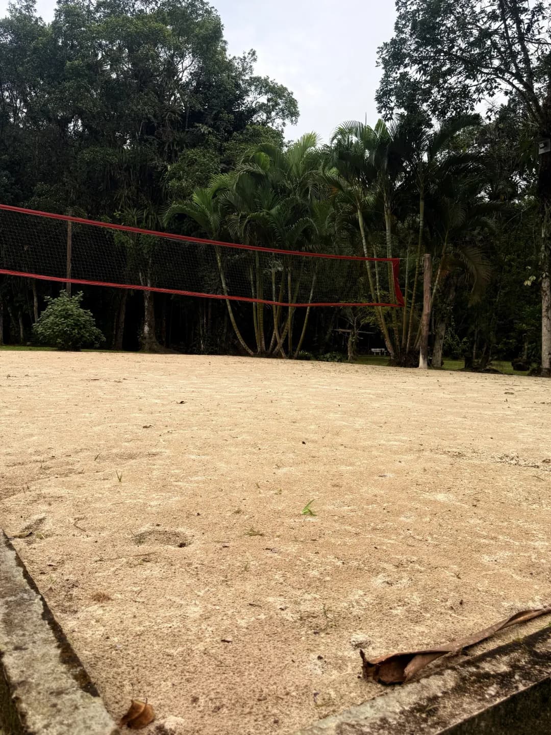 Casa Graciosa — foto 59