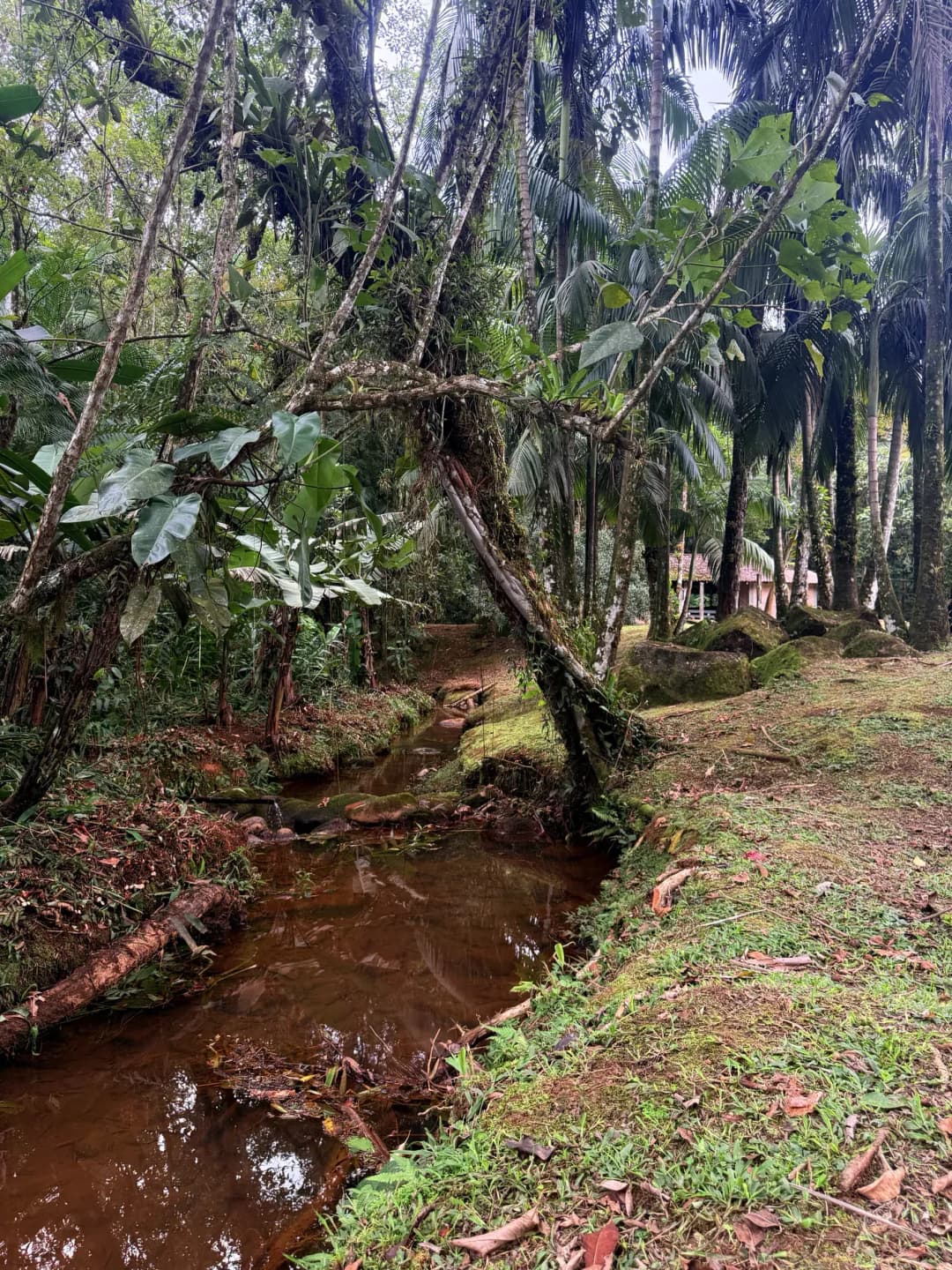 Chalé 03 — foto 40