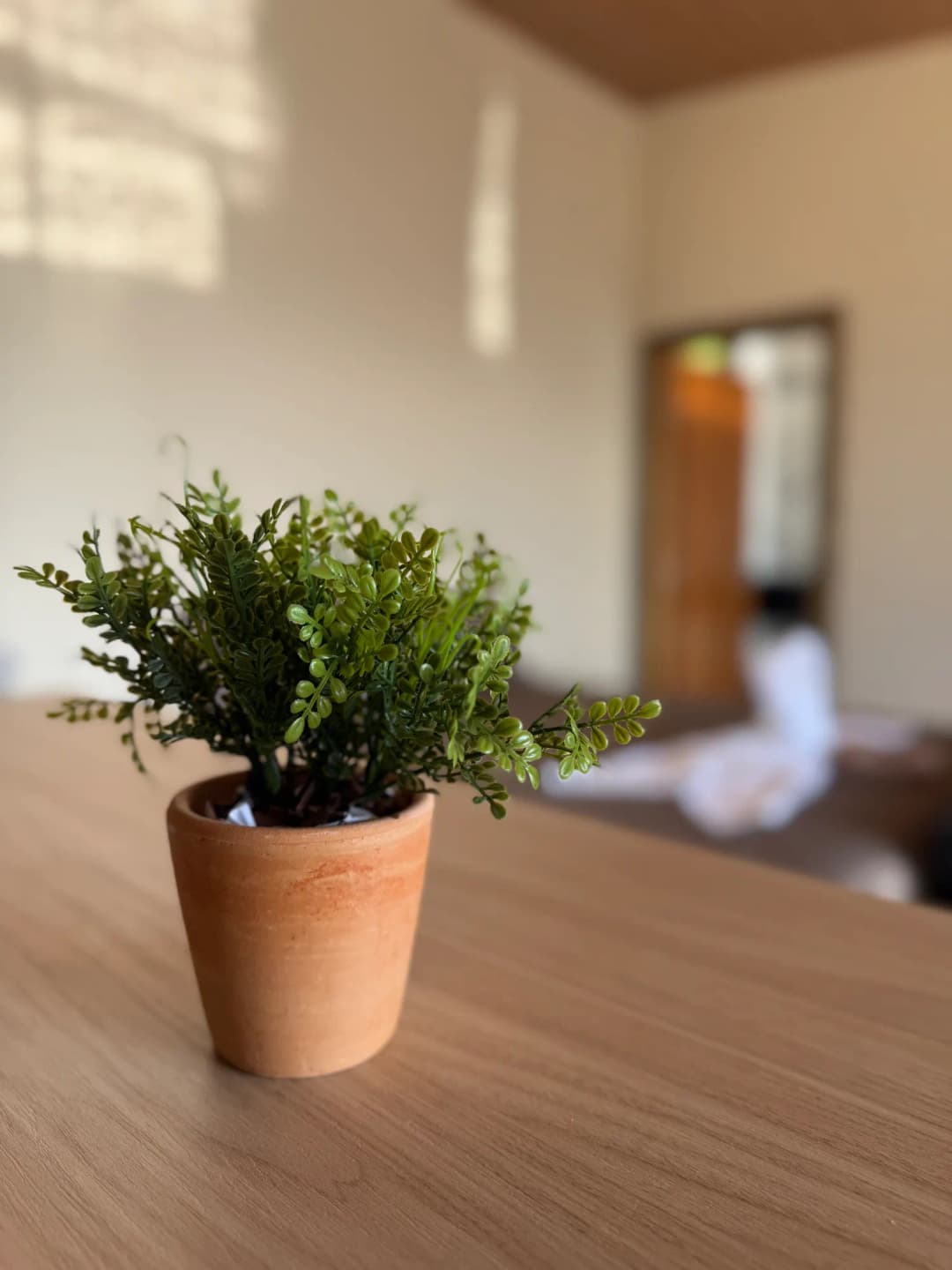 Chalé Céu — foto 7